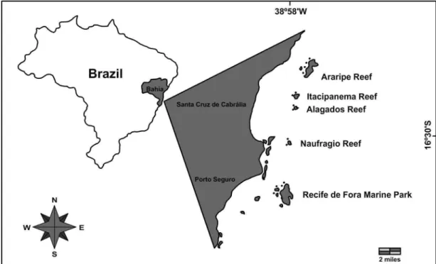 Fig. 1. Map indicating sites within the reefs studied. 