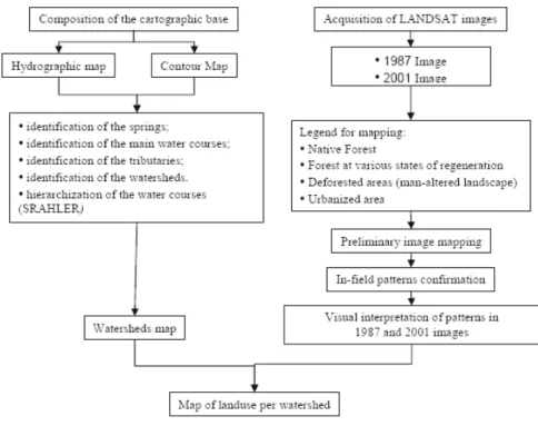 Fig. 2. Methodological procedure. 