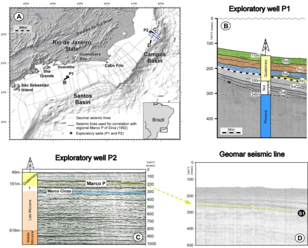 Fig. 8. Well log information of wells P1 and P2 used in this study, as well as their calibration on the respective seismic lines