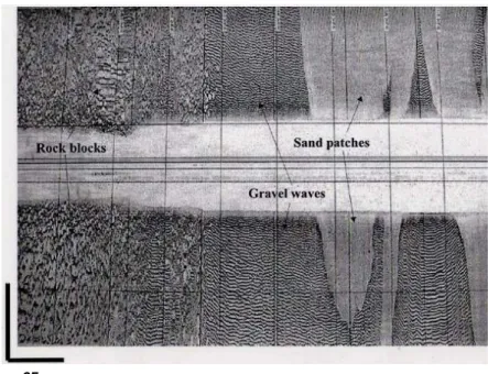 Fig.  1.    Seabed  image  of  Sand  patches of Chesil Beach (Lyme  Bay, southern UK) – dark gray  tones  represent  coarse  sediments  with  high  acoustic  reflection  and  light  gray  tones  represent fine sediments of low  acoustic reflection