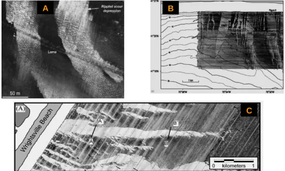 Fig. 2. A: Image of “Rippled Scour Depression” – dark gray tones represent coarse sediments with high acoustic  reflection and light gray tones represent fine sediments of low acoustic reflection (EITTREIM et al., 2002)