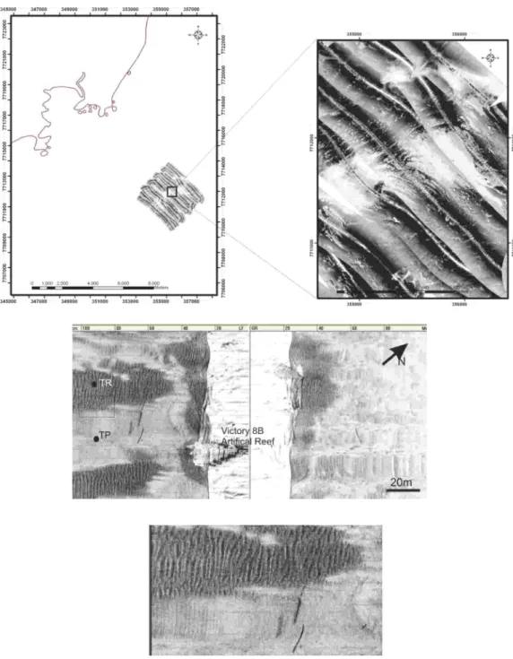 Fig.  4.  Side-scan  sonar  images  showing  the  occurrence  of  storm-generated  bedforms