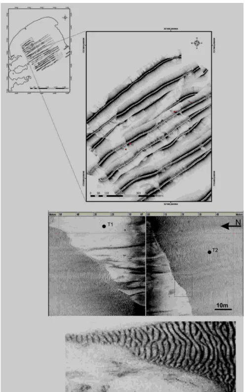 Fig.  6.  Side-scan  sonar images  showing  the  occurrence  of  storm-generated  bedforms  over  Espirito  Santo  Bay