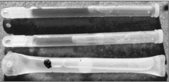 Fig.  1.  Light-sticks  found  on  the  Costa  dos  Coqueiros,  BA. 
