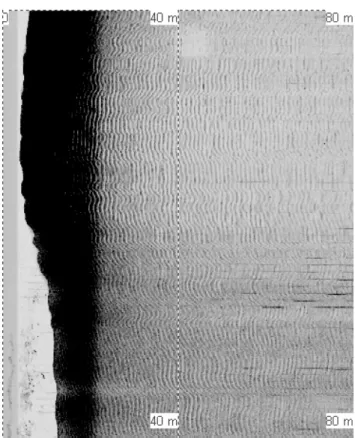 Fig. 3. Example of CGR bed forms identified in the sidescan sonar records. 