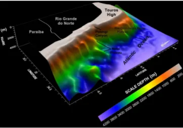 Fig. 3. Digital model of the Eastern Sector and Touros High region. Note  the  steep  slope  break  developed  in  this  area