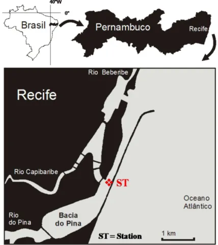 Fig. 1. Study area and sampling station (ST) in the Port Basin of Recife (Pernambuco, Brazil)