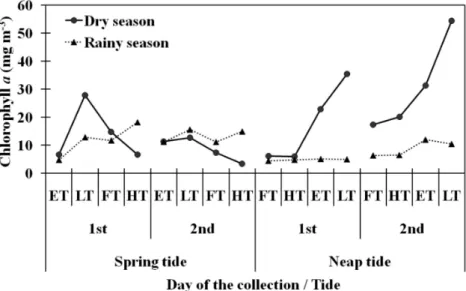 Fig.  4.  Temporal  variation  of  chlorophyll-a  (mg  m -3 )  in  the  Port  Basin  of  Recife  Estuary  (Pernambuco,  Brazil)  during  the  dry  season  (January  25-26  and  February  02-03,  2005)  and  rainy  season (June 07-08 and 14-15, 2005)
