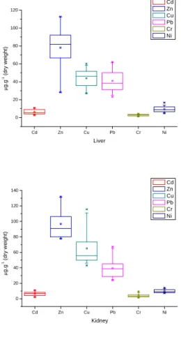 Fig. 2. Cadmium (Cd), zinc (Zn), copper (Cu), lead (Pb),  chromium  (Cr)  and  nickel  (Ni)  concentrations  (µg.gww -1 metal) in liver and kidney of  Egretta  caerulea