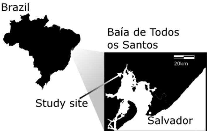 Fig. 1. Location where the crab structure estimation was carried out.