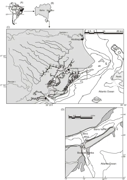 Fig. 1. Location of the Caravelas estuary in the context of South America (A) and Bahia State (B)  with the delimitation of its drainage basin (C)
