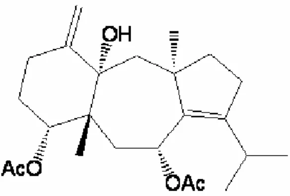 Fig.  1.  Major  diterpene  compound  isolated  from  C. 