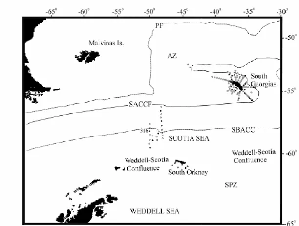Fig. 1. Sampling area and position of the oceanographic stations taken by day (grey dots) and night (black dots) in  summer  1995,  around  South  Georgias  Islands,  South  Orkney  Islands  and Weddell-Scotia  Confluence