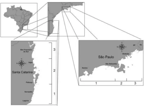 Fig. 4. Map of southern Brazil indicating the geographical boundaries used to define the sectors