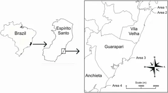 Fig. 1. Location of the study area. Areas 1 and 2: Costa beach; area 3: Setibão beach, and area 4: Ubu beach