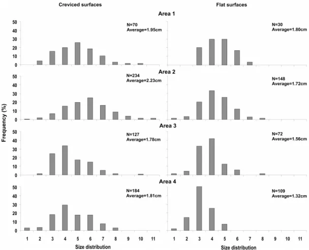 Fig. 7. Isognomon bicolor shell length size-frequency distribution on Costa (areas 1 and 2), Setibão (area 3) and Ubu (area 4)  collected  on  flat  surfaces  (without  depressions)  and  creviced  surfaces,  from  August  2006  to  May  2007  (N  =  numbe