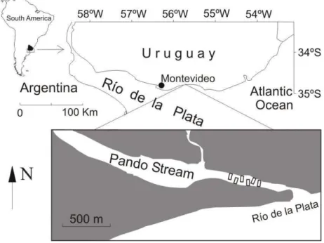 Fig.  1.  Geographical  location  of  Pando  estuary  showing  the  fishing  trawl  area  (rectangles)  on  both margins of the Pando mouth