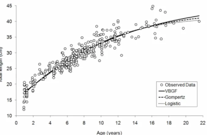Fig. 2. Length at age data for Pagellus erythrinus, with the three fitted growth models