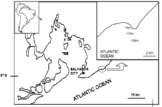 Fig.  1. Map  of the  study  area  on  the northern  coast  of  Bahia  State  with sampling sites along a depth gradient
