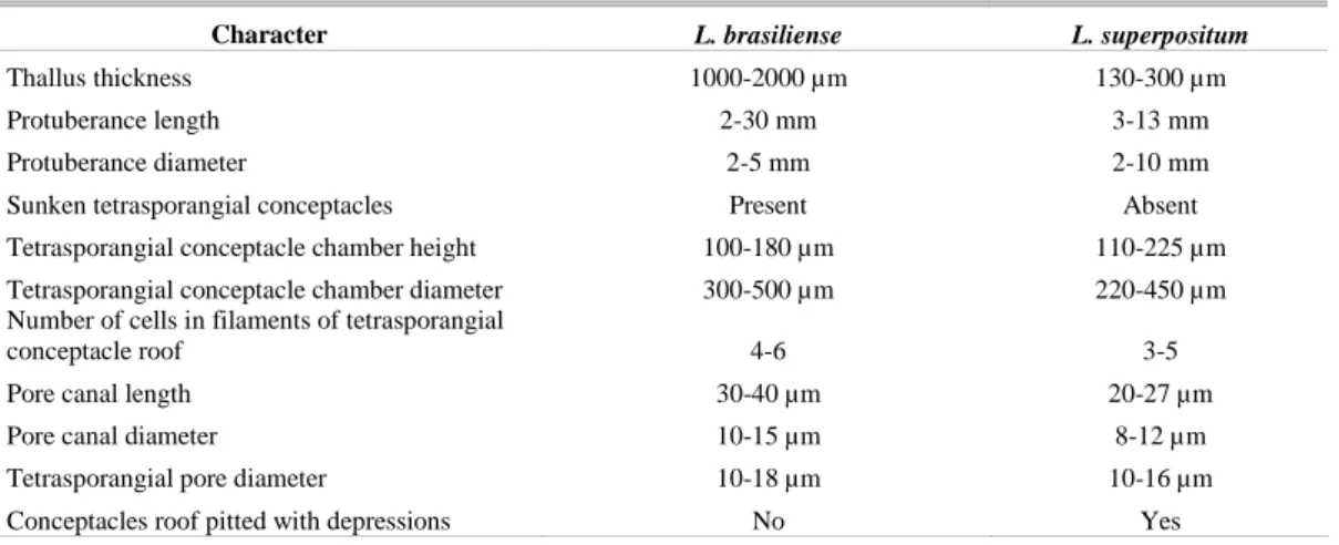 Table 1. Data on characters of the two Lithothamnion species in study area. 