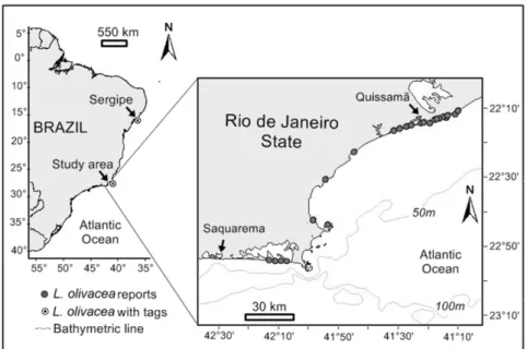 Fig. 1. Compiled records of olive ridleys (Lepidochelys olivacea) stranded along the coast of Rio de  Janeiro  state  from  August  2005  to  November  2009,  and  sites  where  the  tagged  olive  ridley  had  previously been marked (Pirambu, Sergipe) and
