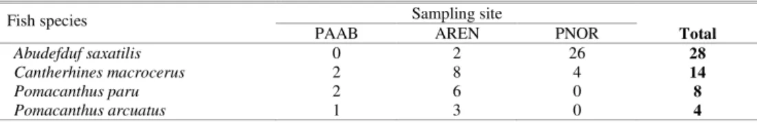 Table  1.  Number  of  records  of  zoanthid  (Palythoa  caribaeorum)  predation  by  reef  fishes  at  three  sites  within  the  Abrolhos  Bank