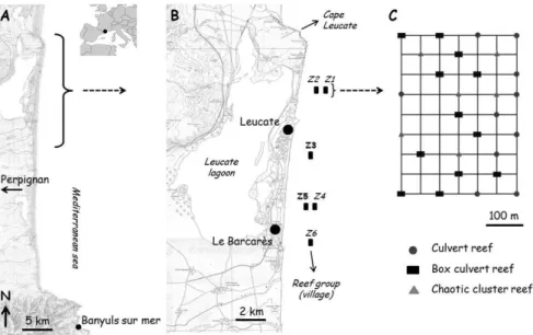 Fig. 1. A. Study site and location; B. Position of the 6 reef groups which constitute the studied  AR system; C