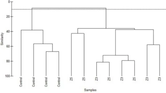 Fig. 2. Hierarchical cluster analysis (group average) of all samples for the three different locations: control site, Z3 and Z5