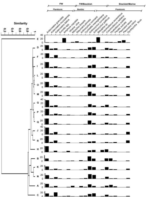 Fig.  6.  Left:  autumn  cluster  analysis  of  diatom  data.  Right:  diatom  relative  abundances for each of the stations (A through R)