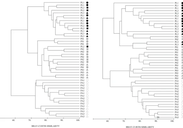 Fig.  6.  MDS  plot  of  benthic  community  coverage  at  three sample sites at the Abrolhos Bank, Brazil