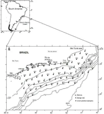 Fig.  1.  Map  of  sampling  stations  performed  in  January/2002  and  August/2002  between  São  Tomé  cape  (Rio  de  Janeiro)  and  São  Sebastião  island  (São  Paulo)  in  the  southeastern  coast  of  Brazil