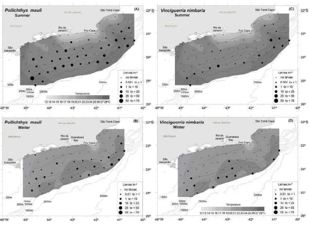 Fig.  3.  Horizontal  distribution  of  Pollichthys  mauli  in  the  summer  (a)  and  in  the  winter  (b);  horizontal  distribution  of  Vinciguerria  nimbaria  larvae  during  the  summer  (c)  and  winter  (d)  cruises  in  2002,  between  São  Tomé  