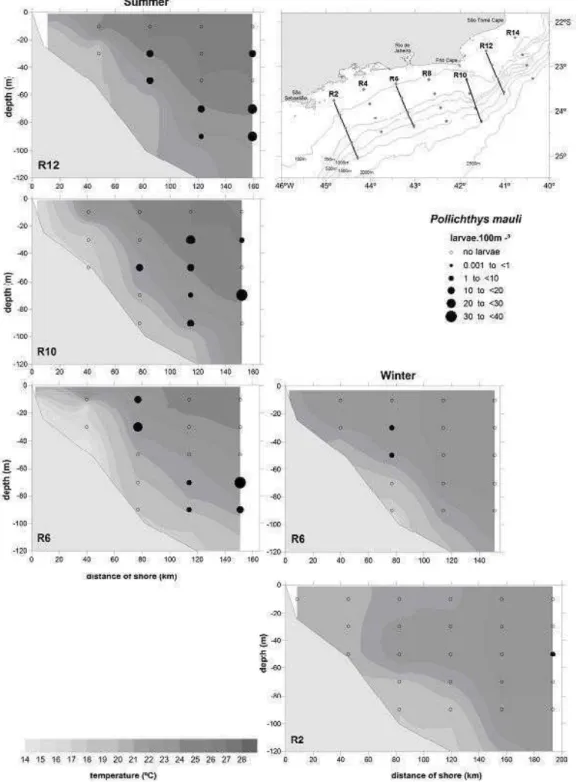 Fig.  5.  Vertical  profiles  of  temperature  (°C)  and  vertical  distribution  of  P