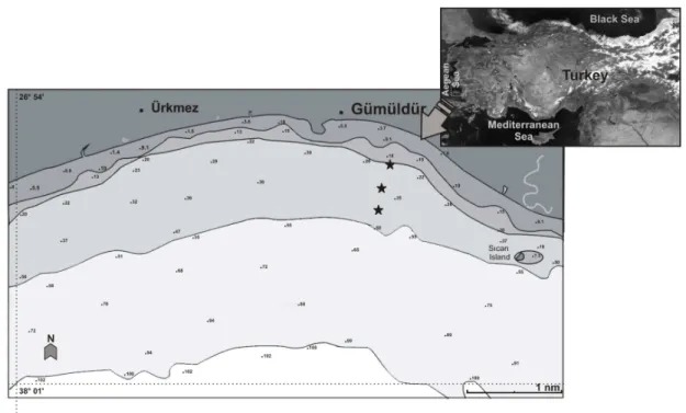 Fig. 1. Study area and location of artificial reefs. 