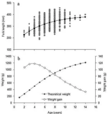 Fig.  7.  Von-Bertalanffy  growth  curve  fitted  to  fork  length  at  age  data  (a),  annual  growth  in  weight  (open  circles,  b),  and  annual  weight  gain  (dark  circles,  b)  by  age  classes for Balistes vetula
