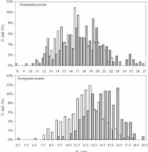 Fig.  4.  Length  frequency  distributions  of  Scorpaena  porcus  and  Scorpaena  notata  from  natural  reefs  (white)  and  artificial  structures  (grey)  in  the  northern  Adriatic Sea