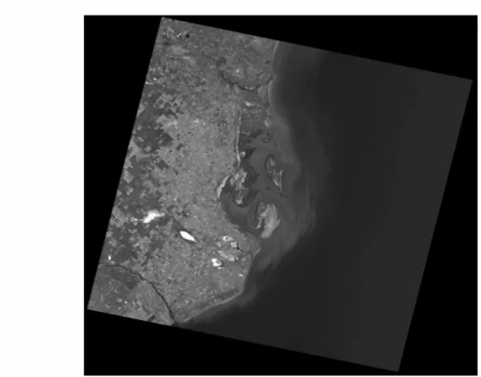 Fig. 3. Landsat scene (ETM3 band, 226/ 88).