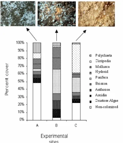 Fig.  6.  n-MDS  plots  of  dissimilarity  among  epilithic  assemblages  developed during one year at reef stations A, B and C in the inner shelf  of Paraná State, southeastern Brazil