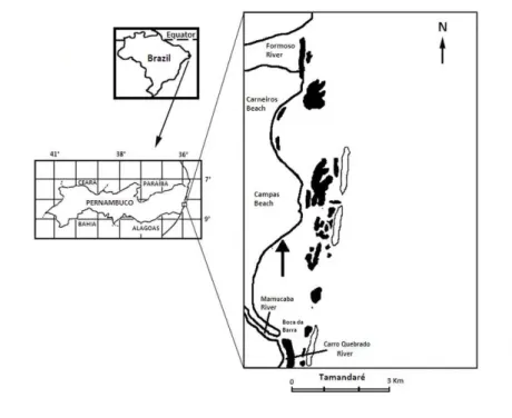 Fig. 1. Map of the sampling site.