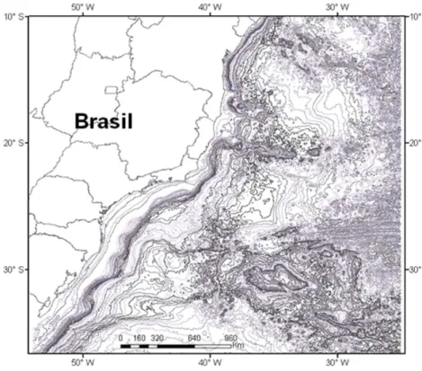 Fig. 1. Fishing area of the longline fleet based in Itajaí, southern Brazil. 