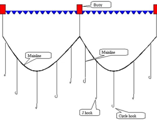 Fig. 3. Test group design developed by TAMAR project for experiments on commercial longline hook selectivity