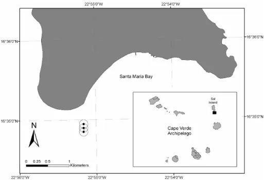 Fig. 1. Location of the study site. The black square in the inset image indicates the enlarged area