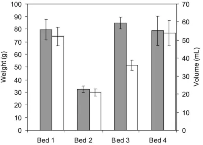 Fig. 5. Average (± SE) wet weight and volume of rhodoliths in the four beds studied. 