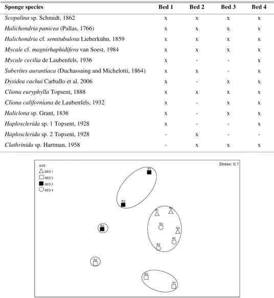 Fig.  7.  Non-metric  multidimensional  scaling  (MDS)  plot  constructed  from  a  Bray- Bray-Curtis similarity matrix of presence/absence of the sponge species recorded in four  rhodolith  beds  in  the  Bahía  Magdalena