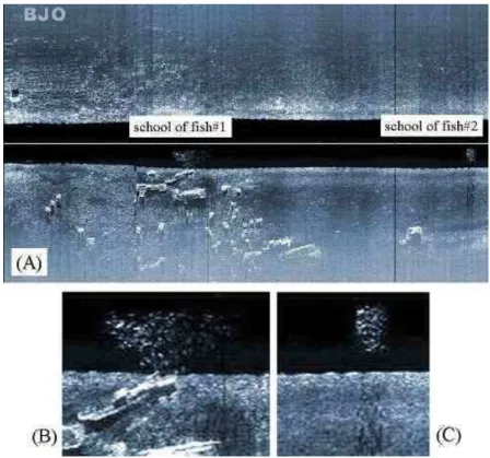 Fig. 8. Side-scan sonar imagery illustrating biological objects on and around artificial habitats