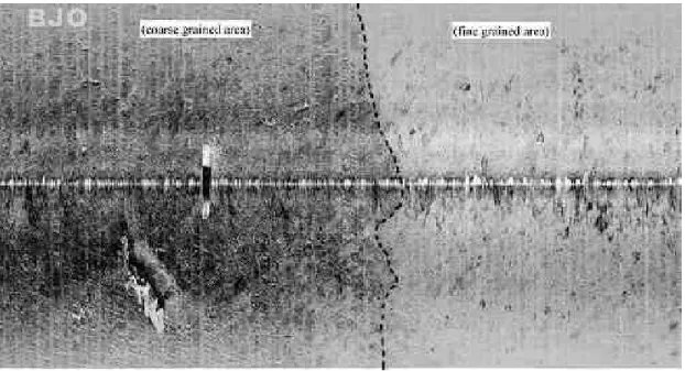 Fig. 4. Side-scan sonar imagery showing two areas of distinct acoustic backscatter and boundary of sediment types