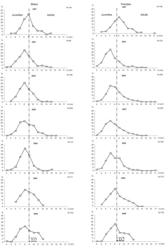Fig.  11.  Distribution  of  frequency  by  length  class  of  F.  paulensis,  1997−2006