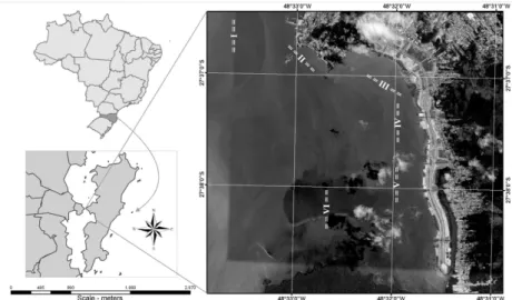 Fig.  1.  Map  of  sampling  sites.  Upper  left,  Brazil,  with  the  State  of  Santa  Catarina  enhanced; 