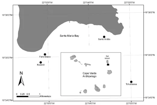 Fig. 1. Map showing study location in Sal island (Cape Verde archipelago).  