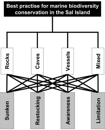 Fig. 2. The AHP tree model (goal, diving spot types and management alternatives). 